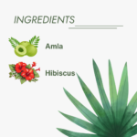 Ingredients of Amla Shampoo with hibiscus