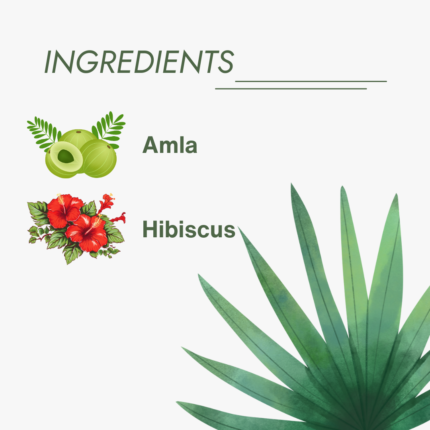 Ingredients of Amla & Hibiscus Shampoo