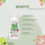 Benefits of Amla Shampoo with Hibiscus