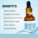 Benefits - Ceramide Serum Infused with Hyaluronic Acid |