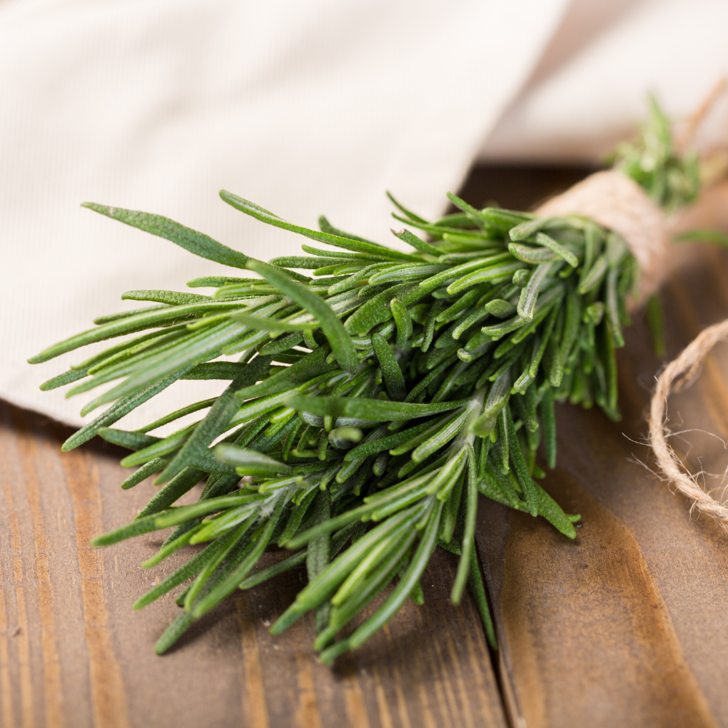 Rosemary Benefits