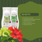 Benefits of Amla & Hibiscus Shampoo + Conditioner