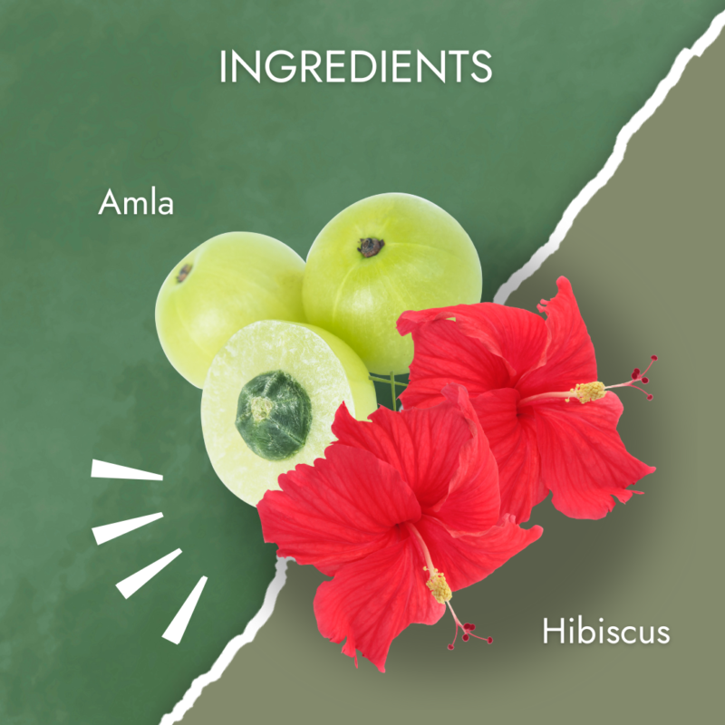 Ingredient of Amla & Hibiscus Shampoo + Conditioner