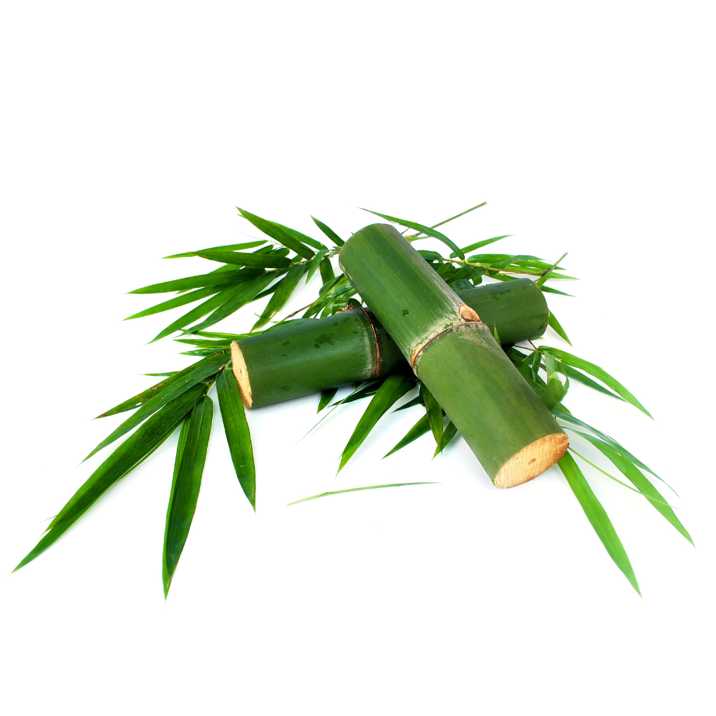 Bamboo Benefits